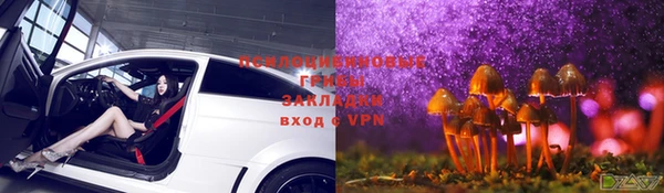 экстази Алексин