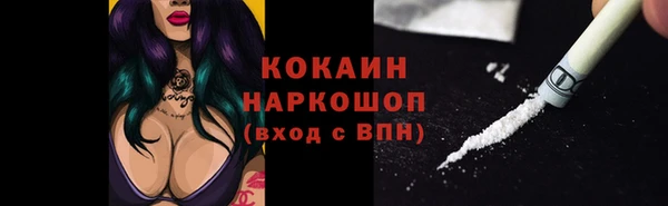 тгк Слюдянка