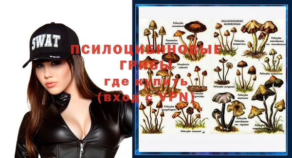 экстази Алексин