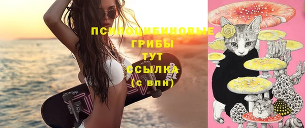 винт Алзамай