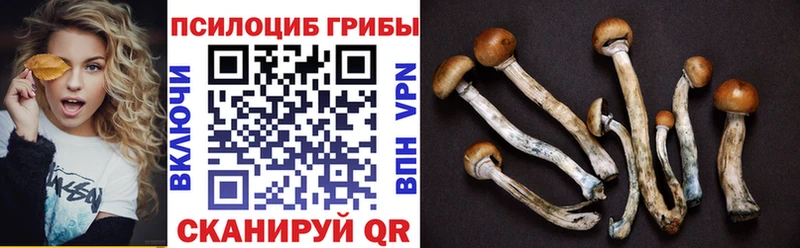 наркошоп  Усть-Лабинск  Галлюциногенные грибы мицелий 